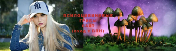 эйфоретик Новодвинск