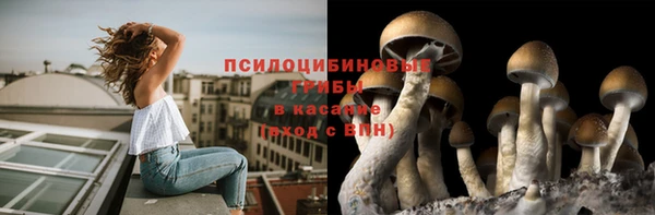эйфоретик Новодвинск