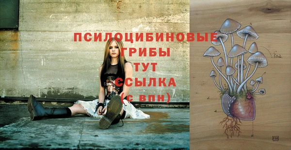 эйфоретик Новодвинск
