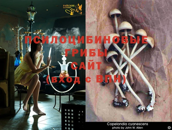 эйфоретик Новодвинск