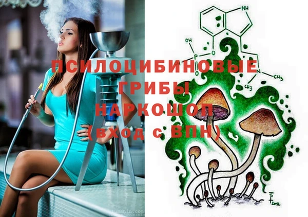 эйфоретик Новодвинск